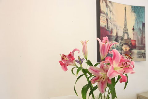 Carnegie Motor Inn - Lennox Head Accommodation 3