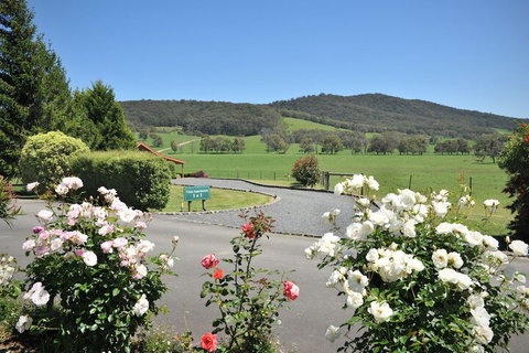 Langbrook Estate Cottages - Lennox Head Accommodation 1