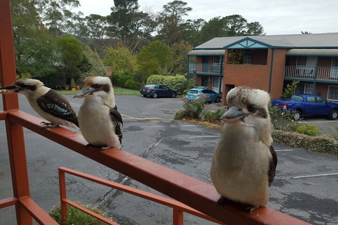 Hepburn Springs Motor Inn - Lennox Head Accommodation 6