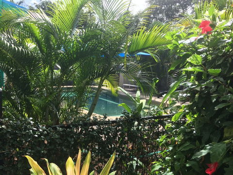 Tropical Palms - Lennox Head Accommodation 2