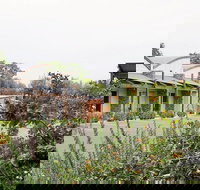 A Must At Coonawarra - Lennox Head Accommodation