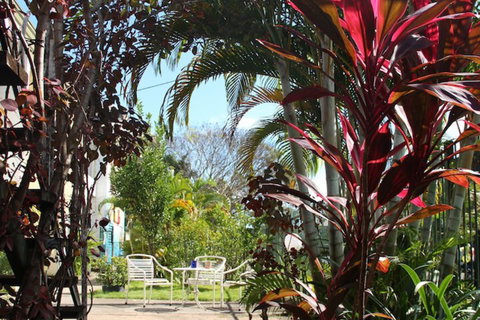 Asylum Cairns Hostel - Lennox Head Accommodation 3