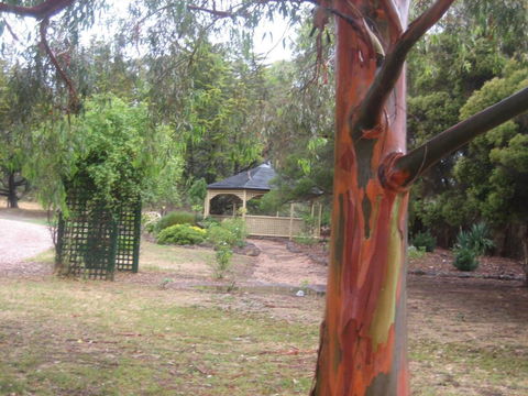 Golden Hills Motel - Lennox Head Accommodation 6
