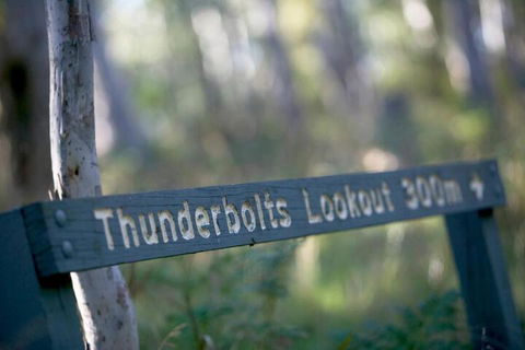 16 Gregson Silky Oaks - Lennox Head Accommodation 6