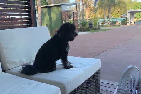 Mulwala Resort - Lennox Head Accommodation 5