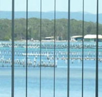 Montgomery Apartments