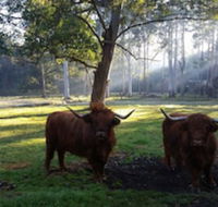 Dingley Dell - Lennox Head Accommodation