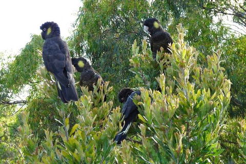 Eagles Rise Tasmania - Lennox Head Accommodation 5