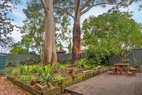 The Pines Bed & Breakfast - Lennox Head Accommodation 0