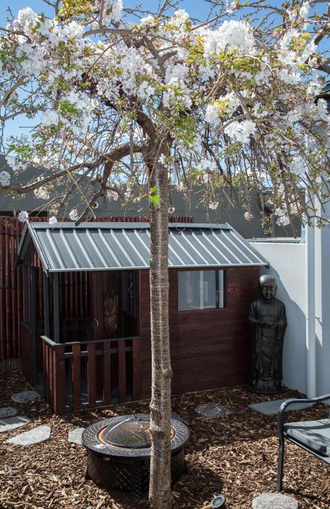 Bakers Retreat - Lennox Head Accommodation 3