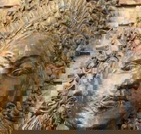 Ballina Palms Boutique Motel - Lennox Head Accommodation