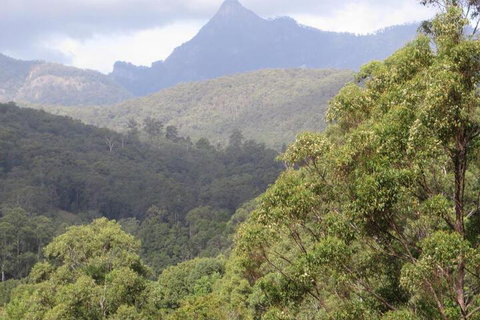 Babbling Brook Retreat - Lennox Head Accommodation 7