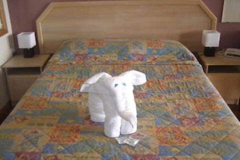 Koala Tree Motel - Lennox Head Accommodation 5