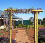 Lavendale Farmstay  Cottages York - Lennox Head Accommodation