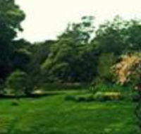 Birdwing Bed  Breakfast Weegena - Lennox Head Accommodation