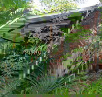 Mt Warning Rainforest Retreat - Lennox Head Accommodation