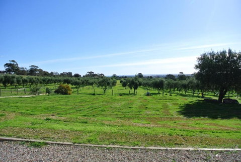 The Farm Willunga - Lennox Head Accommodation 4