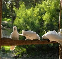 The Burrow At Wombat Bend - Lennox Head Accommodation