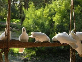 The Burrow At Wombat Bend - Lennox Head Accommodation 0