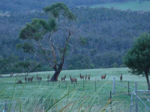 Hawksview At Mafeking - Lennox Head Accommodation 3
