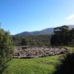 Hawksview At Mafeking - Lennox Head Accommodation 0