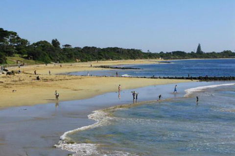 Roseneath Villa B & B - Lennox Head Accommodation 5