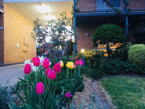 The Vines Motel And Cottages - Lennox Head Accommodation 0