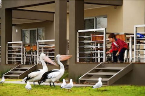 Ski Club Holiday Park - Lennox Head Accommodation 2