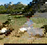 Country Cottages of Bridgetown - Lennox Head Accommodation