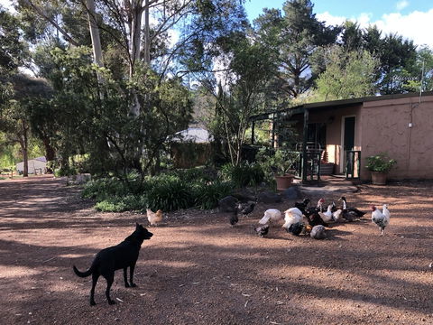 Country Cottages Of Bridgetown - Lennox Head Accommodation 4