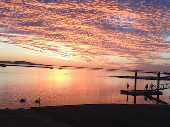 Sunbird Gardens - Lennox Head Accommodation 4