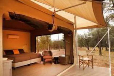 Ikara Safari Camp - Lennox Head Accommodation 4