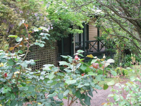 Leafield Cottages - Lennox Head Accommodation 5