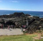 Sea Whispers - Lennox Head Accommodation