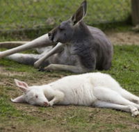 A Twist of Willow - Lennox Head Accommodation