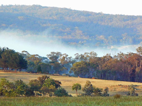 Candlebark Retreat - Lennox Head Accommodation 5