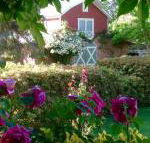 A Country Barn Retreat - Lennox Head Accommodation