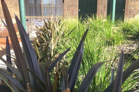 Mulwala Paradise Palms Motel - Lennox Head Accommodation 3