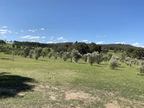 Hunter Homestead - Lennox Head Accommodation 0