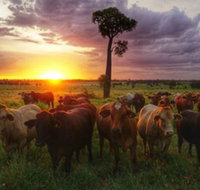 Myella Farm Stay - Lennox Head Accommodation