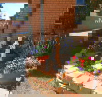 Aaron Inn Motel - Lennox Head Accommodation