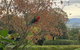 The Studio Yarra Valley - thumb 4
