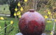 The Studio Yarra Valley - thumb 2