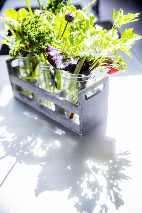 Alkina Lodge - Lennox Head Accommodation 6