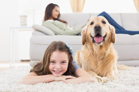 BOUTIQUE STAYS - South Yarra Lane - Lennox Head Accommodation 4