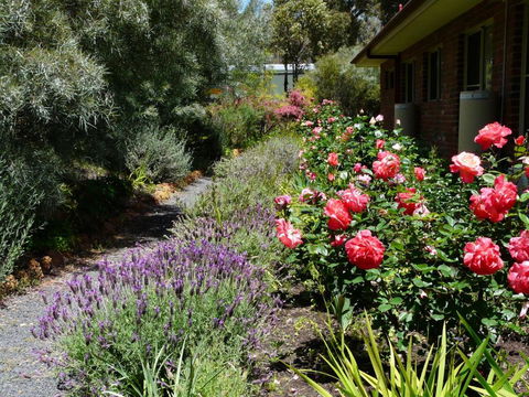 Country Charm Retreat B & B - Lennox Head Accommodation 1