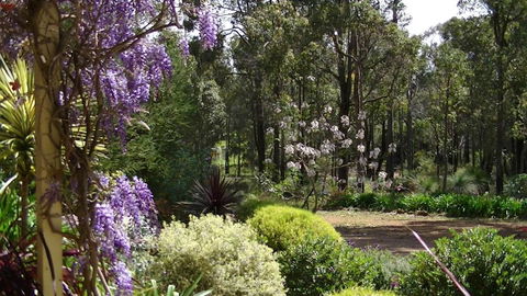 Country Charm Retreat B & B - Lennox Head Accommodation 4