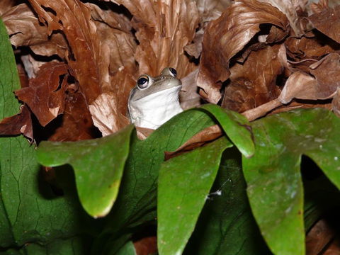 Country Charm Retreat B & B - Lennox Head Accommodation 2