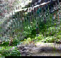 Lemonade Creek Cottages - Lennox Head Accommodation