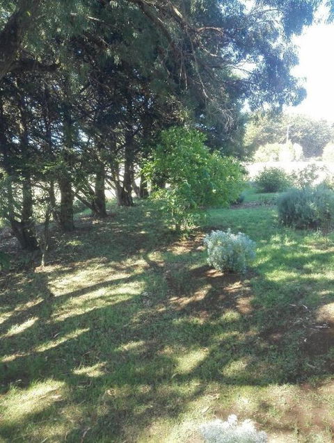 Cozy Stay Cottage - Lennox Head Accommodation 2